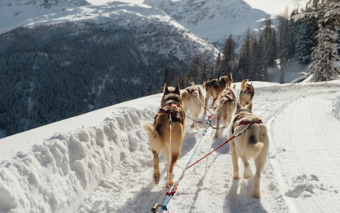 Inverno in Valtellina: cosa fare tra sport, benessere e sapori d’autore