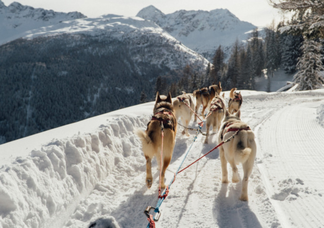Inverno in Valtellina: cosa fare tra sport, benessere e sapori d’autore