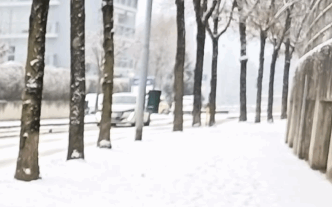 Nevicata prevista, servizi mancati: il Comune contesta Secam