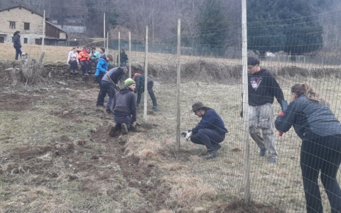 Studenti del Marco Polo di Colico al lavoro a Vendrogno per recuperare un vigneto