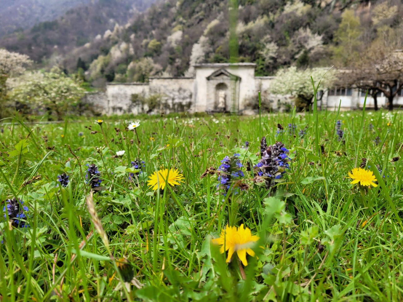 Palazzo Vertemate Franchi riapre per la primavera e propone nuovi eventi