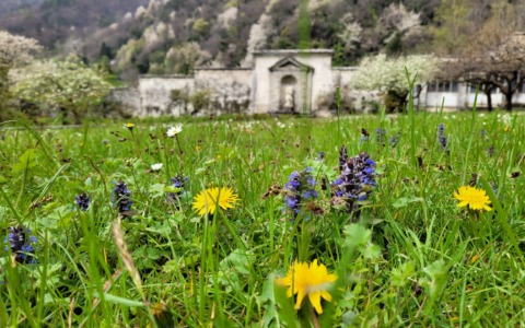 Palazzo Vertemate Franchi riapre per la primavera e propone nuovi eventi