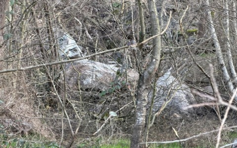 Frana sulla Statale 36, Snider: “Fondamentale avere viabilità alternativa”