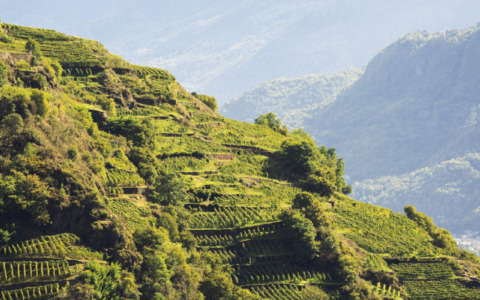 Vinitaly 2026, la Valle si racconta con la ViVa Lounge