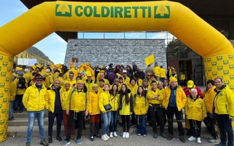 Al Brennero diecimila agricoltori da tutta Italia per cambiare il codice doganale