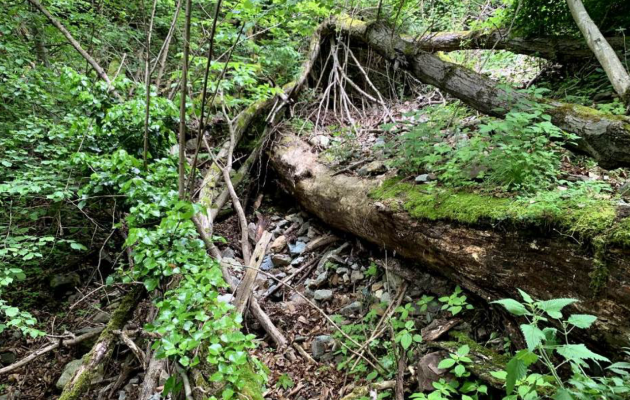 Rischio idrogeologico, interventi nelle frazioni