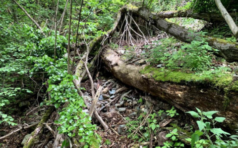 Rischio idrogeologico, interventi nelle frazioni