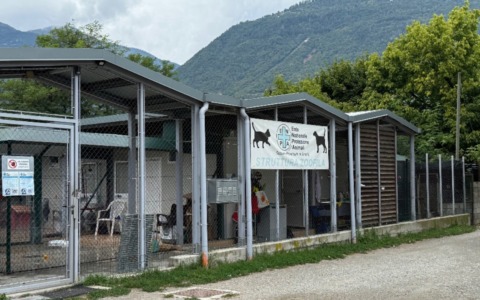 La Spesa che fa Bene 2026 di Iperal e Fondazione AG&B premia Enpa e Volontari 3 Valli