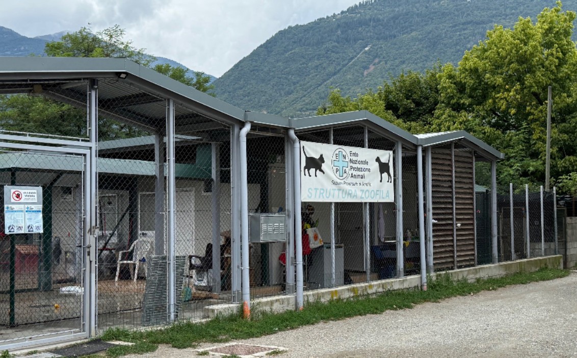 La Spesa che fa Bene 2026 di Iperal e Fondazione AG&B premia Enpa e Volontari 3 Valli