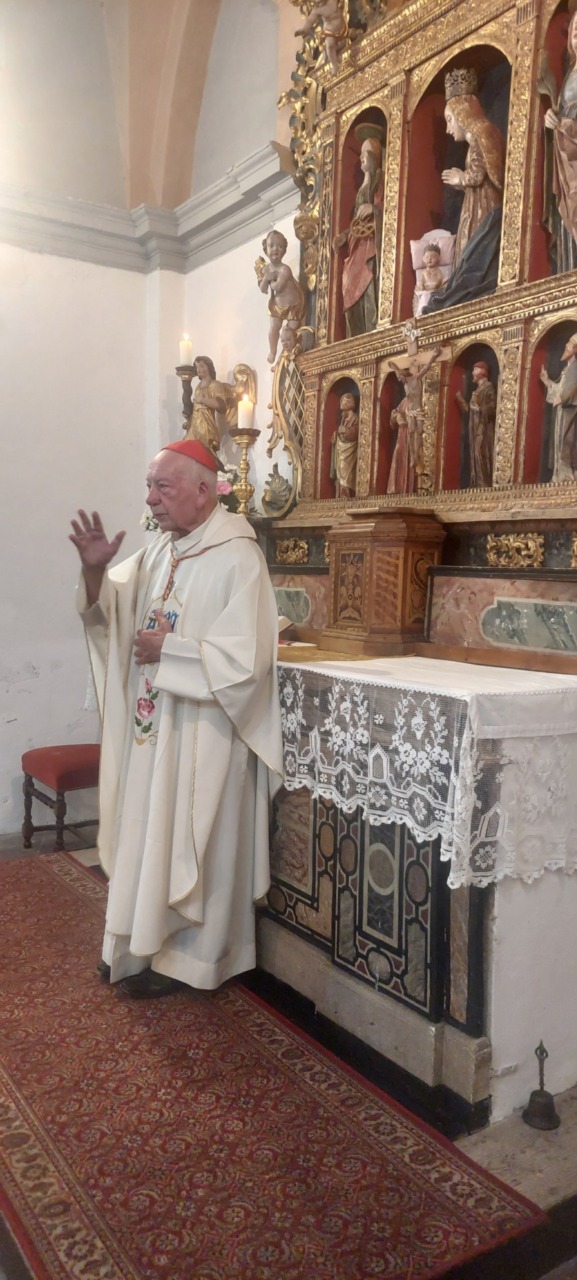 Coccopalmerio celebra la festa della Madonna della Neve