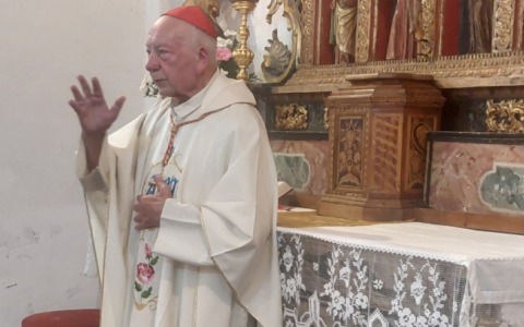 Coccopalmerio celebra la festa della Madonna della Neve
