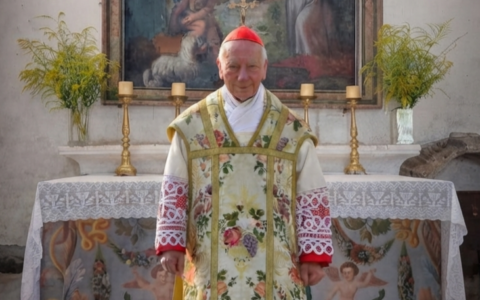 Il cardinale Coccopalmerio ha ricordato la figura di San Rocco