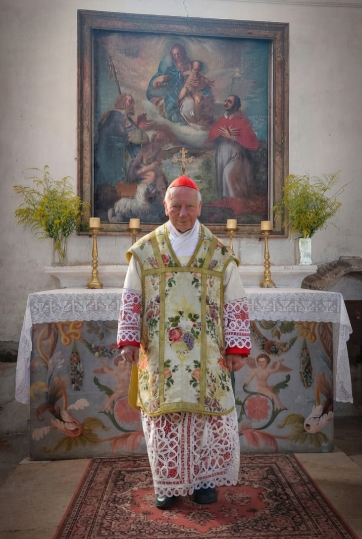 Il cardinale Coccopalmerio ha ricordato la figura di San Rocco