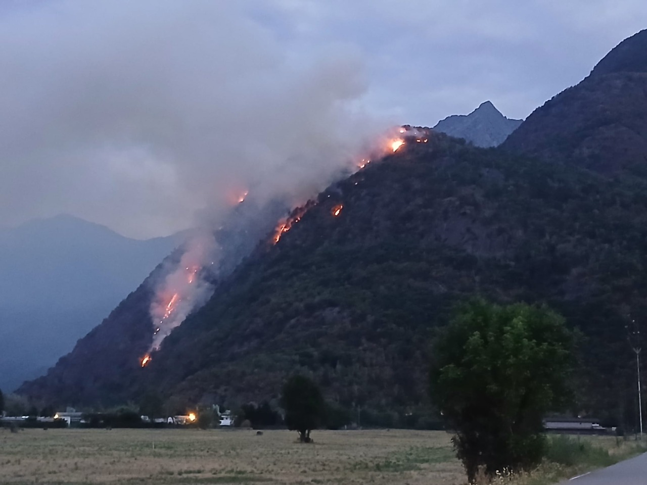 Brucia ancora il bosco alla Torre Segname