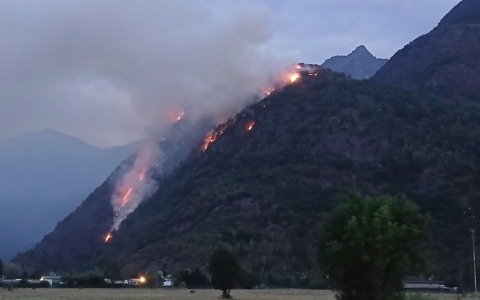 Brucia ancora il bosco alla Torre Segname