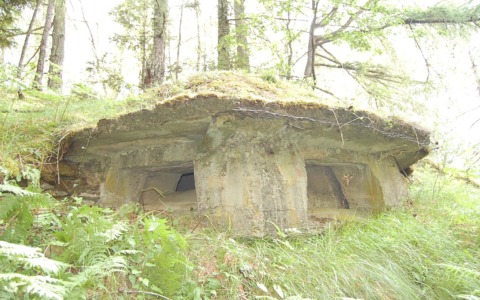 Ora Grosio riscopre la sua Fortezza