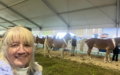 Nasce l’associazione “Haflinger – Cuore delle Alpi”