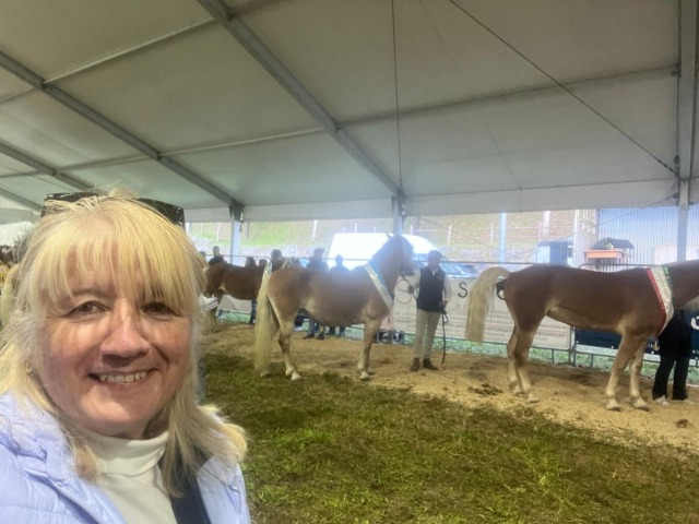 Nasce l’associazione “Haflinger – Cuore delle Alpi”