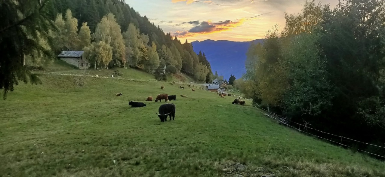 “La Montagna che vogliamo” con Marco Albino Ferrari