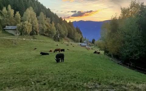 “La Montagna che vogliamo” con Marco Albino Ferrari